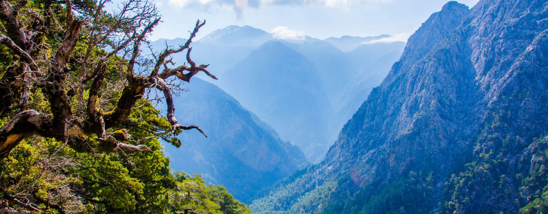 Samaria Canyon