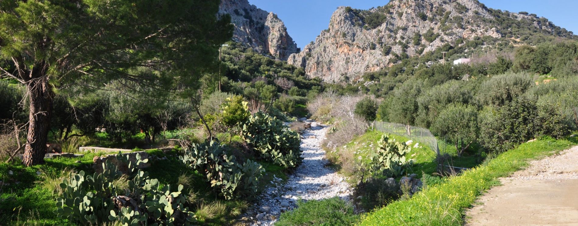 Kritsa Gorge