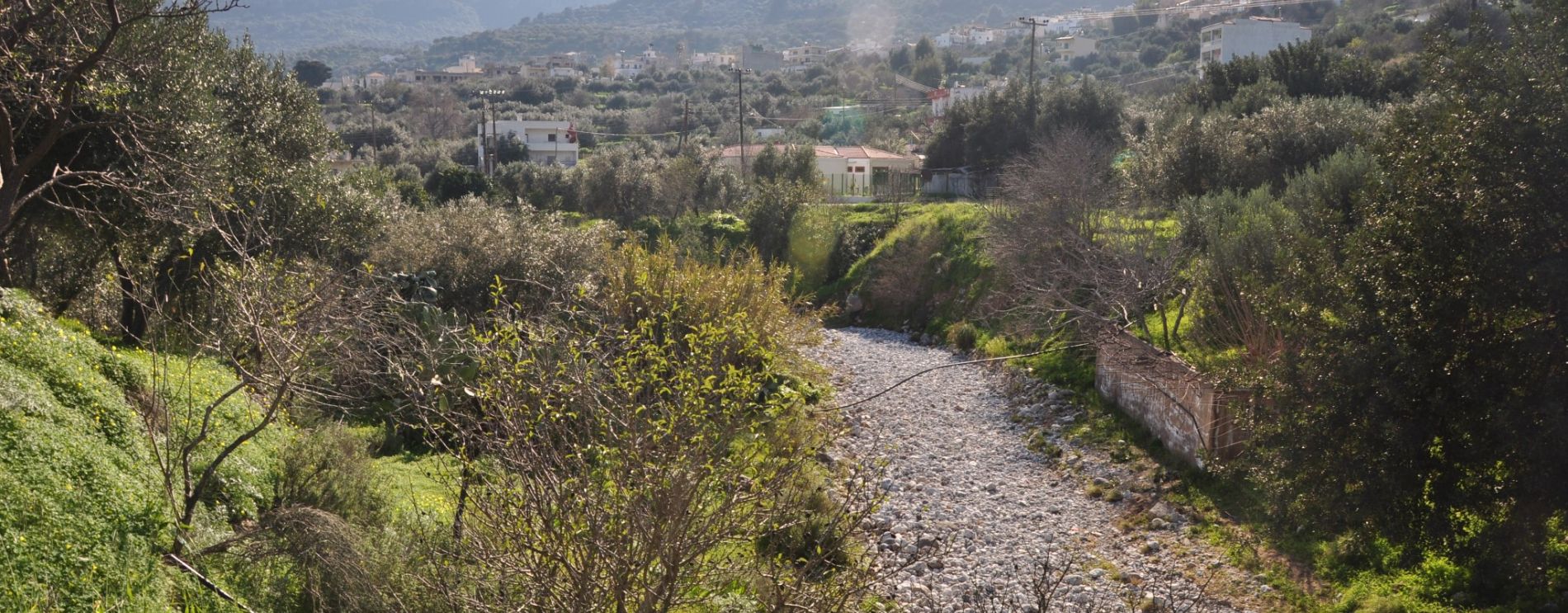 Kritsa Gorge