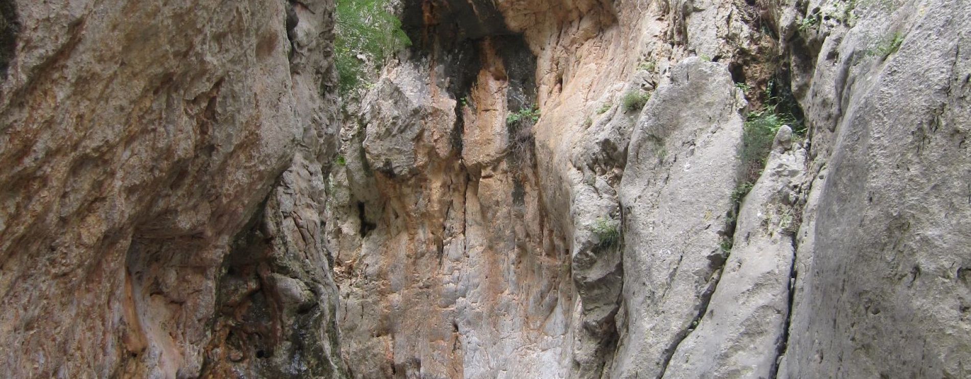 Kritsa Gorge